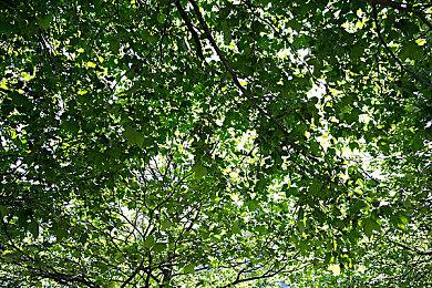 《地狱之刃2》将推出实体版 与PS5版同步发售